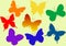 Colorful flying butterflies vector illustration