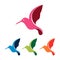 Colorful Flying Hummingbird Colibri Nature Logo Symbol
