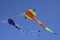 Colorful flying kites against a blue sky