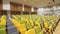 Colorful folded armchairs rows in empty conference hall