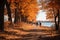 Colorful Foliage Stroll People walking along a tree - stock photo concepts