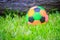 Colorful football on playground with green grass in the backyard for children. Multicolor soccer ball on green grass playground.