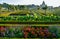 Colorful formal garden at sunset, with a mysterious light