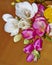 Colorful freesia flowers closeup