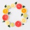 Colorful fruit circle frame of citrus slices and leaves, top view over a white background