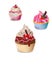 Colorful Fruit Cupcakes isolated vector