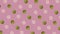 Colorful fruit pattern of fresh cherimoya on pink background. Seamless pattern with cherimoya. Custard apple pattern