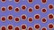 Colorful fruit pattern of fresh grapefruits on purple background. Seamless pattern with grapefruit slices. Realistic