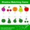 Colorful Fruit Shadow matching Game for kids