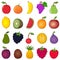 Colorful Fruits Collection Cartoon Style