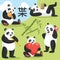 Colorful funny relaxing pandas vector art hand drawn illustrations