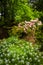 Colorful garden at Cylburn Arboretum, Baltimore, Maryland.