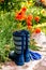 Colorful Gardening Tools in Garden