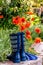 Colorful Gardening Tools in Garden