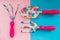 Colorful gardening tools. tools for garden on blue and pink background. Metal shovels forks and spade.