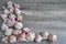 Colorful garlic on gray background. Organic food, harvest. Top v