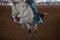 Colorful Gear Of A Young Cowboy Riding A Calf At A Rodeo