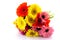 Colorful Gerber bouquet