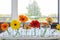 Colorful gerber daisies in a glass vase on a wooden table in a bright modern room, retro spring design in a row