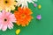 Colorful gerbera spring flowers summer beautiful blooming on green background - Flat lay Top view