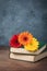 Colorful gerberas on the old books, September 1 concept postcard, teachers day, back to school