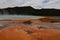 Colorful Geysers Yellowstone National Park