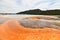 Colorful Geysers Yellowstone National Park