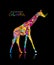 Colorful giraffe, sketch for your design