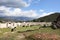 Colorful goats walk among the ruins of ancient lycian town Andriake in Turkey