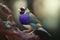 Colorful Gouldian Finch Full Body In Forest. Colorful and Vibrant Animal.