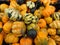 Colorful gourds and pumpkins