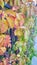 Colorful grape leaves