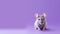 Colorful Gray Rat On Purple Background: Cute And Detailed Minimalist Portraits