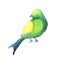 Colorful green bird silhouette watercolor illustration on white background.