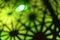 Colorful green bokeh lights shining through black geometric patterns at night