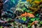 Colorful Grouper-like Marine Fish