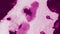 Colorful Grunge Style. Hard Grunge. Shibori Pattern. Splash Banner. Modern Graphic. Watercolor Layer. Pink Dirty Art Paint. Tie Dy