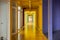 The colorful hallway interior empty with glass door