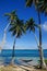 Colorful hammock between palm trees, Ofu island, Vavau group, To