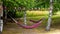 Colorful hammocks hanging in a park