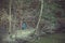 Colorful hammocks hanging on river bank in the woods