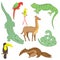 Colorful Hand Drawn Animals of South America. Doodle Drawings of Iguana, Crocodile, Parrot Ara, Toucan, Hummingbird,Anaconda