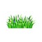 Colorful hand drawn vector of long bright green grass with beautiful blooming spring flowers. Nature and gardening theme