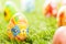 Colorful hand painted Easter eggs in grass. Spring theme