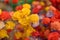 Colorful handicraft flower for decoration