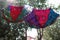 Colorful Handwork jaipuri umbrellas hung on a tree