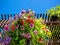 A colorful hanging flower basket appears in a bright blue sky