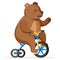 Colorful happy and cute bear on bicycle. Trained funny circus bear artist riding bike character. Magic circus show illustration