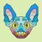 Colorful Head of Cat breed sphinx in linear graphic design