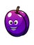 Colorful healthy fresh purple plum